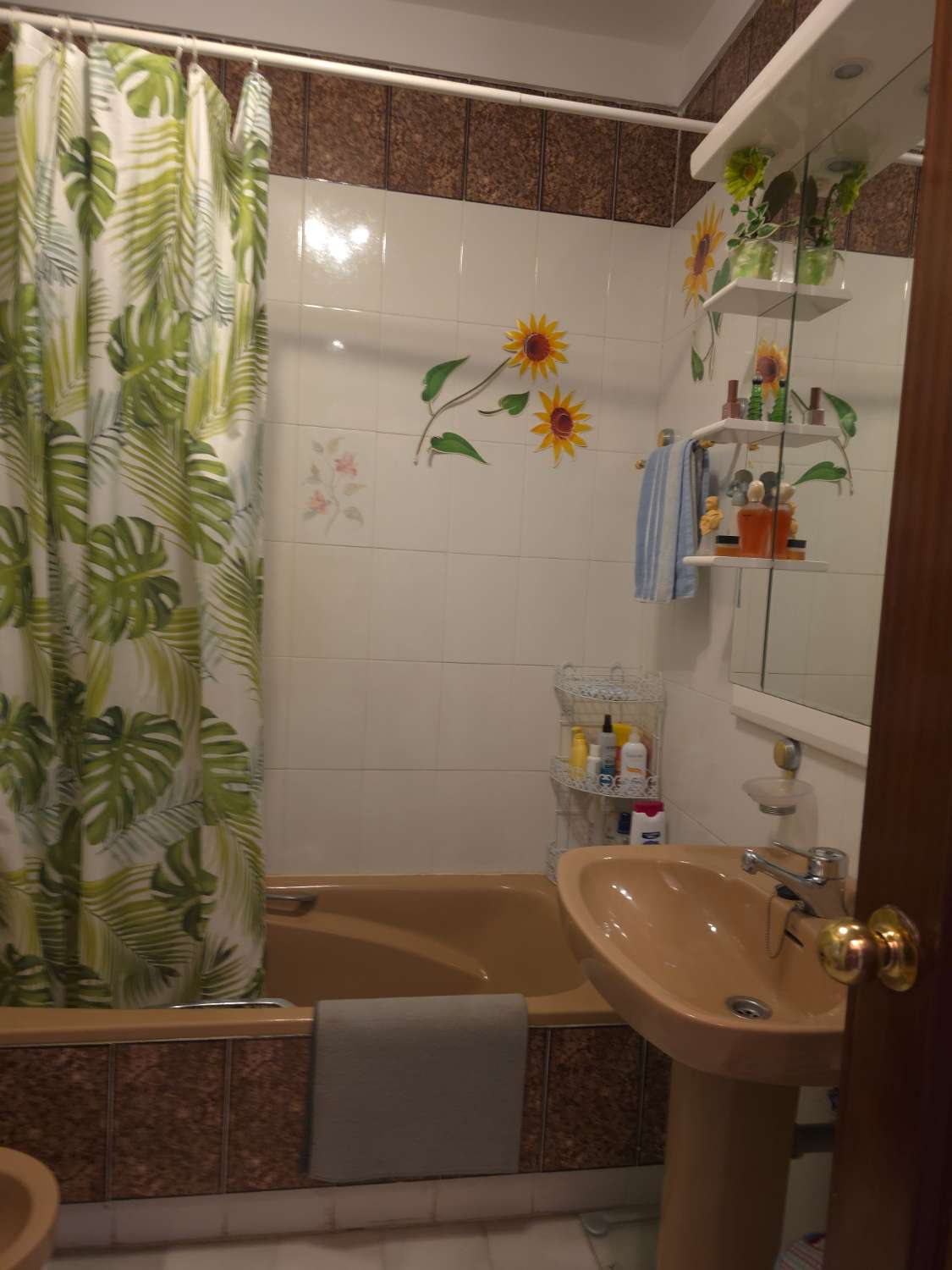 Petit Appartement en vente à Torrox