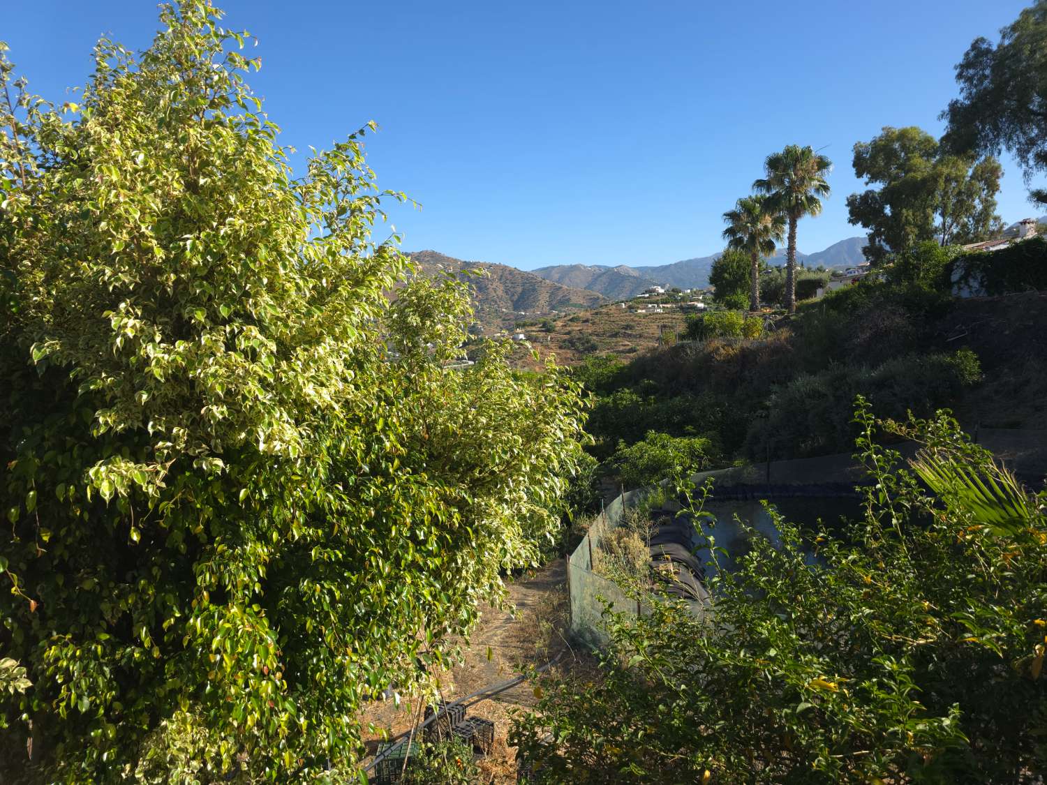 Domain en vente à Torrox